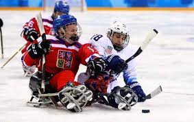 Liga, mládež, reprezentace, mistrovství světa, nhl, champions hockey league, evropské ligy. It S Decided Ostrava Will Host The 2019 Para Hockey Championships Paraostrava2019
