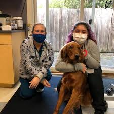 Kowaliga whole health pet care & resort is a full service animal hospital and welcomes pet patients in need of holistic treatments as well as routine medical, surgical, and dental care. The Whole Pet Vet Hospital And Wellness Center Los Gatos Ca