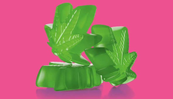 The Truth About Marijuana Gummies and Other Edibles