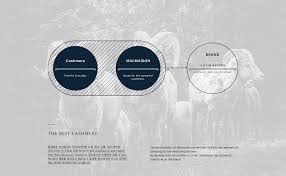 Cashmere and camel hair manufacturers institute. Malmaison On Behance
