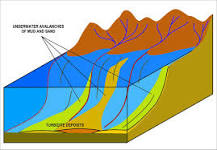 Image result for what are turbidites? course hero