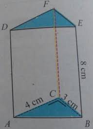 Sebuah prisma mempunyai bantalan berbentuk segitiga yang mempunyai tinggi 15 cm dan sisi alasnya 12 cm. Disamping Merupakan Prisma Tegak Segitiga Siku Sik Roboguru