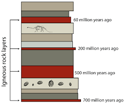 Notice how do geologists often. File Relative Dating Of Fossils Png Wikimedia Commons