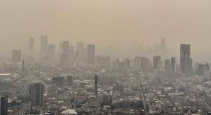 No estoy diciendo que sea problema. Llegaron Los Memes De La Contingencia Ambiental Para Reir Mientras Respiras Humo Economiahoy Mx
