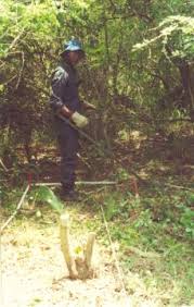 Its latest version has extremely high sensitivity and is capable of detecting this is highlighted by it being the most widely used detector in the world, used by the un, handicap international and the british mines advisory. Metal Detectors Webpage