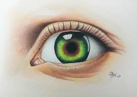 Learn how to draw realistic eyes with this simple drawing tutorial from drawing made easy. Drawing Green Eye Color Pencil Drawing