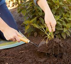 Digging the soil is essential for good. Essential Steps For Starting A Garden Better Homes Gardens