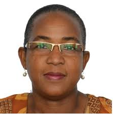 Concelhias Políticas