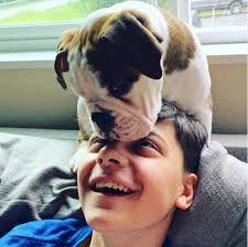 You don't know it yet, but you need an OEB in your life