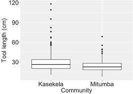 Image result for Monanthotaxis poggei
