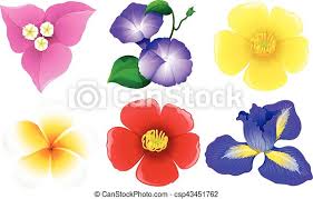 We did not find results for: Different Types Of Flowers On White Illustration Canstock