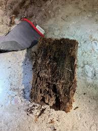 Image result for site:byggahus.se träskada