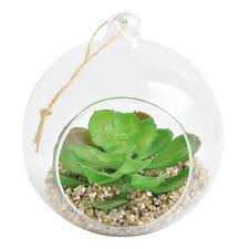 Image result for Mehikasvi