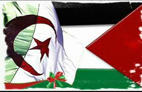 لا يختلف إثنان على أن الجزائر تهتم بالقضية الفلسطينية وشعبها وتقدر معاناتهم منذ كانت الجزائر تحت الاحتلال الفرنسي، ومن كل طوائف الشعب الجزائري ورجال الدين الجز Ø¢Ù…Ù†Ø© On Twitter Ù„Ø§ ÙŠÙ„Ø²Ù…Ùƒ Ø§Ù† ØªÙƒÙˆÙ† ÙÙ„Ø³Ø·ÙŠÙ†ÙŠØ§ Ù„ØªØ­Ø¨ ÙÙ„Ø³Ø·ÙŠÙ† Ø­Ø¨Ù‡Ø§ Ù„Ø§ ÙŠØ¹Ø±Ù Ø§Ù„Ø¬Ù†Ø³ÙŠØ© Ø§Ùˆ Ø§Ù„Ù‡ÙˆÙŠØ© Ø­Ø¨Ù‡Ø§ ÙŠÙƒÙˆÙ† Ø¨Ø§Ù„ÙØ·Ø±Ø© Ø´ÙŠØ¦ ÙŠØ´Ø¨Ù‡ Ø­Ø¨Ù†Ø§ Ù„Ø§Ù…Ù‡Ø§ØªÙ†Ø§ Ø¨Ù„Ø§ ØªÙÙƒÙŠØ± Wehadenough Https T Co H96c1pkhgm