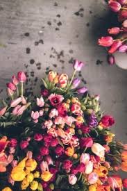 Gambar terkait dengan bunga aesthetic. Tulips Background Tumblr Tulips Flower