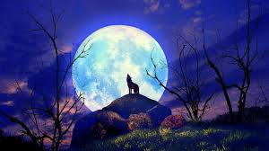 Beautiful Moon Wallpaper 153690 Hd Wallpaper Backgrounds Download However, many of us see beautiful images of the moon and its cratered surface but, when attempting to capture a similar image ourselves, suffer frustrating results. beautiful moon wallpaper 153690 hd