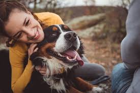Exceptional, comprehensive vet care, boarding, and grooming right in your neighborhood. Vets Reveal Heartbreaking Reality Of Putting Pets Down The Independent The Independent