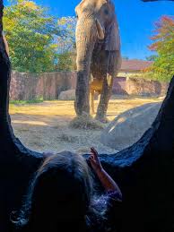 Kids who's got into big things. 11 Outdoor Things To Do In Cleveland With Kids Consistently Curious