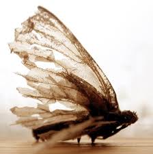 Put broken wing butterflies are trades that benefit from time decay, the short puts experience faster the broken wing butterfly can also be placed with a strong bullish bias but in those cases, the position is usually created for a debit. Broken Wings Broken Wings Butterfly Wing Tattoo Wings Aesthetic