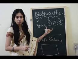 Biodiversity Types Importance And Loss Of Biodiversity Youtube