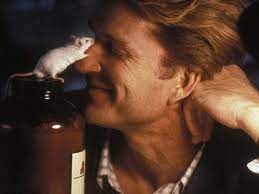 What do you learn about charlie gordon? The Indy Book Club Flowers For Algernon Is A Sad Sweet Interrogation Of What It Is To Be Human The Independent The Independent