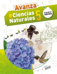 ¡qué importante es la energía para el desarrollo del país!. Ciencias Naturales Editorial Kapelusz