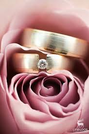 Inspiration Ringe Eheringe Lina Loos Hochzeitsfotografie Fotos Hochzeit Ehering Fotografie Hochzeitsfotografie Ideen