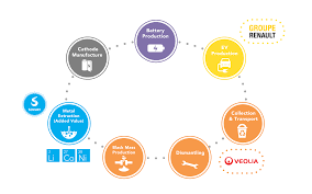 Support your dog's organ system health and overall wellness. Case Studies