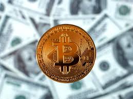 What to do if you have lost money on bitcoin scams in canada 2021. Andrew Yang Wants To Turn Nyc Into A Bitcoin Megahub That Would Be Terrible For Climate Change Gothamist