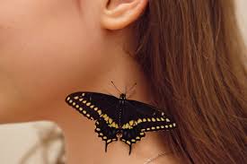 Maybe you would like to learn more about one of these? An Uninvited Guest Treated Like A Monarch Makes Itself At Home The New York Times