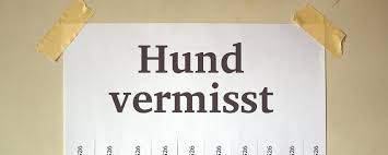 Haben sie einen hund gefunden zugelaufen oder vermissen sie ihren lieblingwir helfen. Was Tun Wenn Der Hund Entlaufen Ist Petfinder