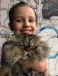 Lost Persian cat in Efland, NC