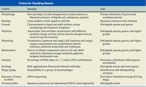 Bacterial Taxonomy 1 Classification Based On Morphology