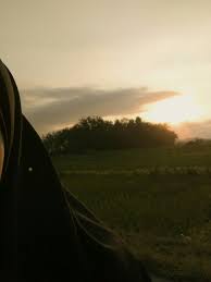  Pemandangan Sawah Girl Senja I Like Anything