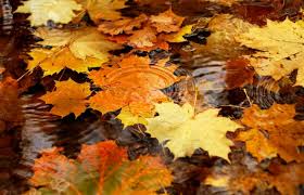 Resultado de imagen de paisajes otoño