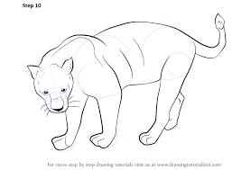 Learn How To Draw A Black Panther Wild Animals Step By Step Drawing Tutorials Animal Drawings Cute Sketches Animal Sketches