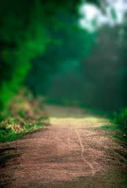 Background hd images for photoshop editing download. New Cb Background Download Blurred Background Photography Best Background Images Blur Photo Background