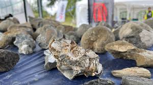 Katharina Amalia OnlyFans porn - young and captivating