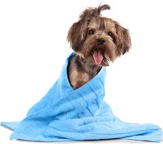 Dog Grooming Kopek