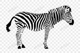 275 x 183 jpeg 11 кб. Zebra Binatang Liar Yang Dilukis Dengan Tangan Gambar Unduh Gratis Imej 401737532 Format Psd My Lovepik Com