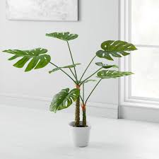 This post is the ultimate guide on growing monstera deliciosa, and i will also show you some remarkable tips and tricks on repotting monstera. Faux Potted Monstera Plant