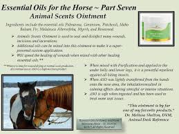 Pin On 4paws Oils More