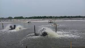 Polres Subang Tindaklanjuti Pencemaran Limbah Tambak Udang Vaname Ilegal