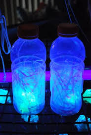 Laguna Preschool Curriculum How To Make Science Discovery Bottles Science Discovery Bottles Discovery Bottles Science For Kids