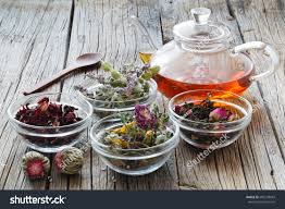 phytotherapy ile ilgili görsel sonucu