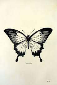 Pin By Samantha Henessy On Tattoo Black Butterfly Tattoo Vintage Butterfly Tattoo Vintage Tattoo
