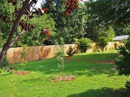 An Orchard Big Or Small Is A Lovely Idea Small Backyard Landscaping Small Backyard Backyard Flowers
