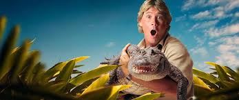 Australia Zoo Home Of The Crocodile Hunter Conservation Through Exciting Education Crocodile Hunter Australia Zoo Animals Sunshine Coast