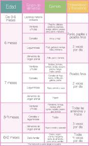 Alimentacion Para Ninos Que Debe Comer Tu Bebe Durante Su Primer Ano De Vida La Bebeteca Alimentacion Bebe Alimentacion Bebe 9 Meses Comida Bebe 6 Meses