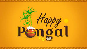 All you need to know about thai pongal festival date, significance, history, celebration, decoration ideas, recipes, wishes, greetings in tamil. Ila3taaccftjim